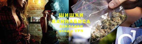 гидра Горняк