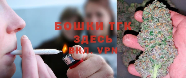не бодяженный Горнозаводск