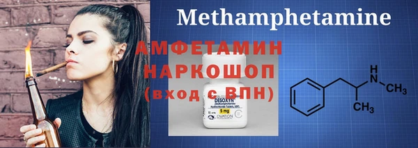 гидра Горняк