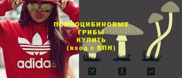 не бодяженный Горнозаводск