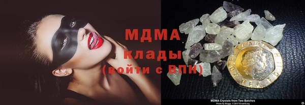 гидра Горняк
