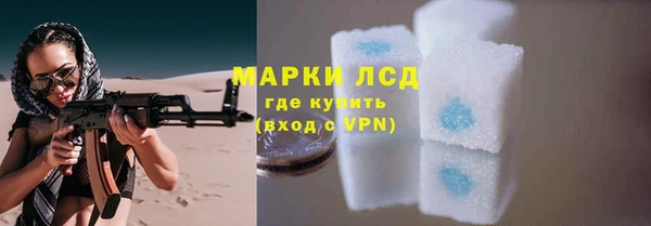 гидра Горняк