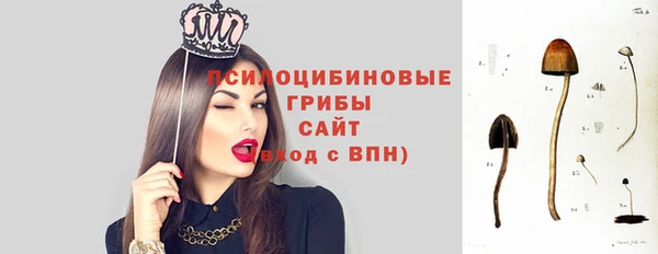 не бодяженный Горнозаводск