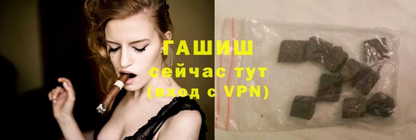 гидра Горняк