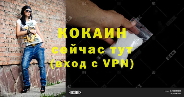 гидра Горняк
