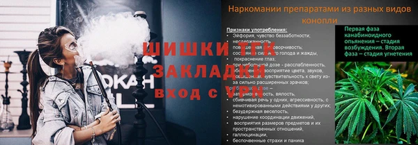 не бодяженный Горнозаводск