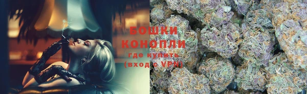 гидра Горняк