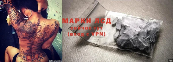 гидра Горняк