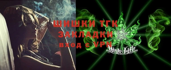 гидра Горняк