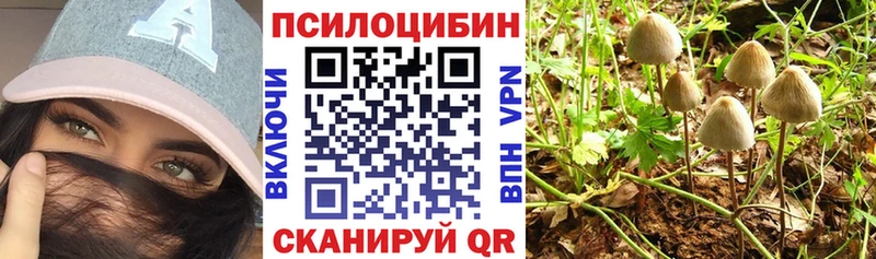 KRAKEN зеркало  Можайск  Галлюциногенные грибы Psilocybine cubensis 