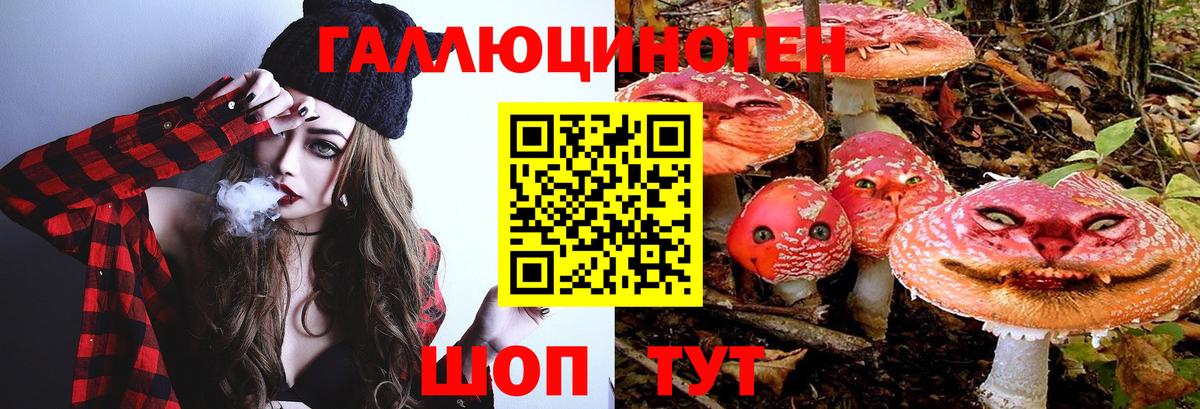 Псилоцибиновые грибы GOLDEN TEACHER  Псилоцибиновые грибы Psilocybe  Можайск  Вход с VPN 