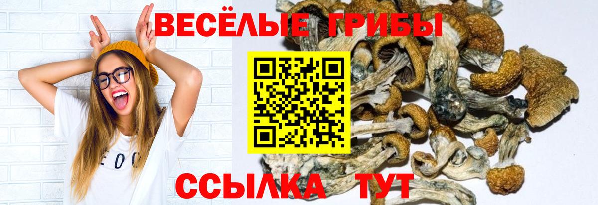 Галлюциногенные грибы GOLDEN TEACHER  Можайск 